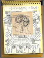 Ruth Axelrod, 'Female Trouble', Foto: Ruth Axelrod