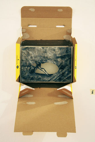 Martin Steffens, Foto: Jasmin H�her-Kosel